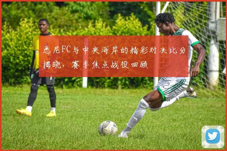 悉尼FC与中央海岸的精彩对决比分揭晓，赛季焦点战役回顾