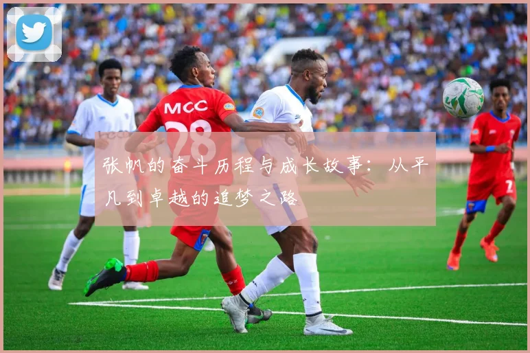 张帆的奋斗历程与成长故事：从平凡到卓越的追梦之路