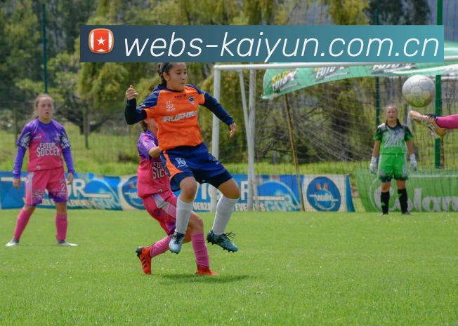 开云体育下载APP 体育赛事宣传图